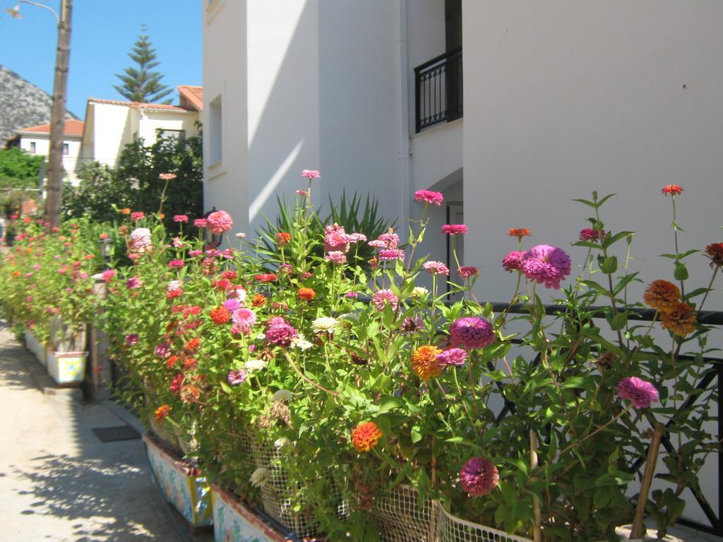 Friderica House Hotel Poros  Værelse billede
